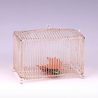 Glass bird cage